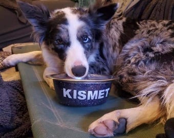 Ciotola per cani personalizzata