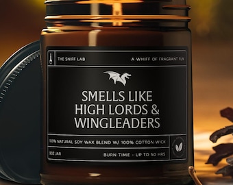 Smells Like High Lords and Wingleaders Candle, Fourth Wing ACOTAR Gift, Xaden/Rhysand, Book Lover, Librarian Bookish Gifts, Book Candle Gift