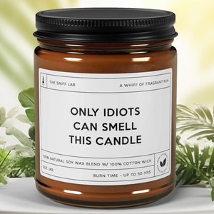only idiots can smell this candle, funny scented candle gift, soy wax candle, hand poured candle, amber jar candle, home fragrance Friend