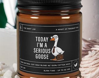 Today I'm A Serious Goose Candle, Silly Goose-cadeau, Sarcastische sojakaars voor kantoormedewerker