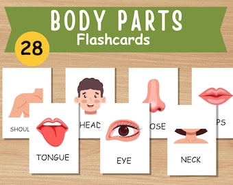 28 Body Parts Flashcards, Pre-School Cards Learning, Montessori flashcards, Pre-School Cards, Toddler Flash Cards