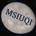 MSIUQI store logo