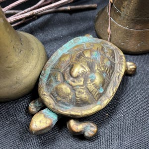 May include: A detailed, antique brass turtle figurine with a weathered, verdigris finish. The turtle has a textured shell and visible legs and head. The figurine is surrounded by other brass objects and twigs.