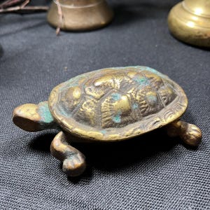 May include: A small, antique brass turtle figurine with a textured shell and detailed legs. The turtle has a weathered appearance with hints of green patina, suggesting age. The figurine is a decorative item.