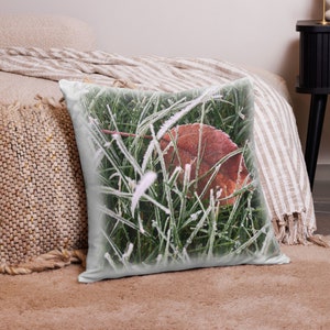 May include: A throw pillow with a close-up image of a single brown leaf partially covered in frost and surrounded by green grass.