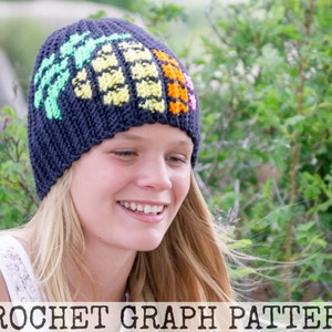 CROCHET GRAPH - Graphic Pineapple Color Grid