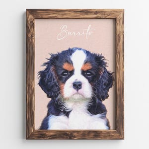 Customized Digital Pet Portrait from Photo, Personalized Cat Portrait Gift for Pet Owners, Dog Memorial Gift to Pet Mom, Portrait Art Print