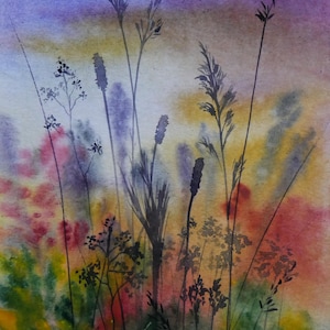 Fleurs sauvages. Aquarelle originale sur papier
