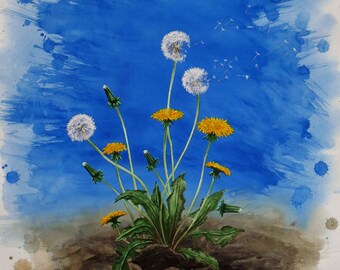 May include: A watercolor painting of a dandelion plant with several white and yellow flowers. The plant is growing in brown soil and the background is a blue watercolor wash with white splatter paint.