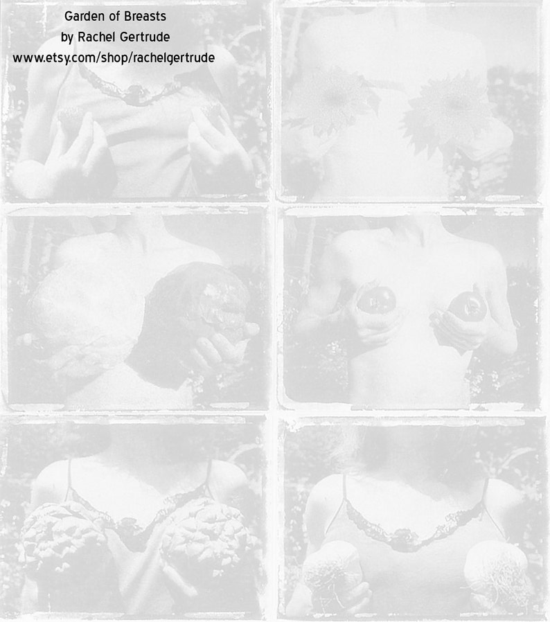 Garden of Breasts series/ photo postcard image 2