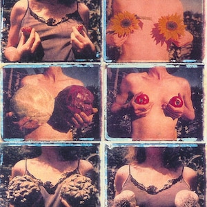 Garden of Breasts series/ photo postcard image 1