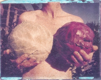 Garden of Breasts with cabbages/ photo postcard