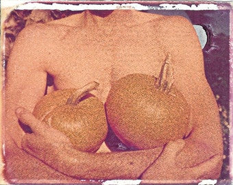 Garden of Breasts with pumpkins/ photo postcard