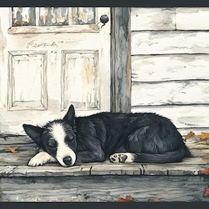 Sleeping dog