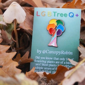 May include: A rainbow coloured enamel pin shaped like a tree with the text "LGB Tree Q+" and "by @CanopyRobin" below the tree. The pin is on a blue background with text about flowering plants.