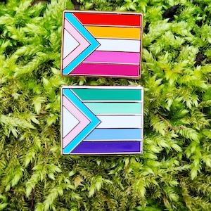 Two rectangular hard enamel pins. Each has the trans pride chevron from the progress pride flag on the left side. The rest of the design is either the gay man pride stripes (outlined in silver metal) or the lesbian pride stripes (outlined in rose gold metal)