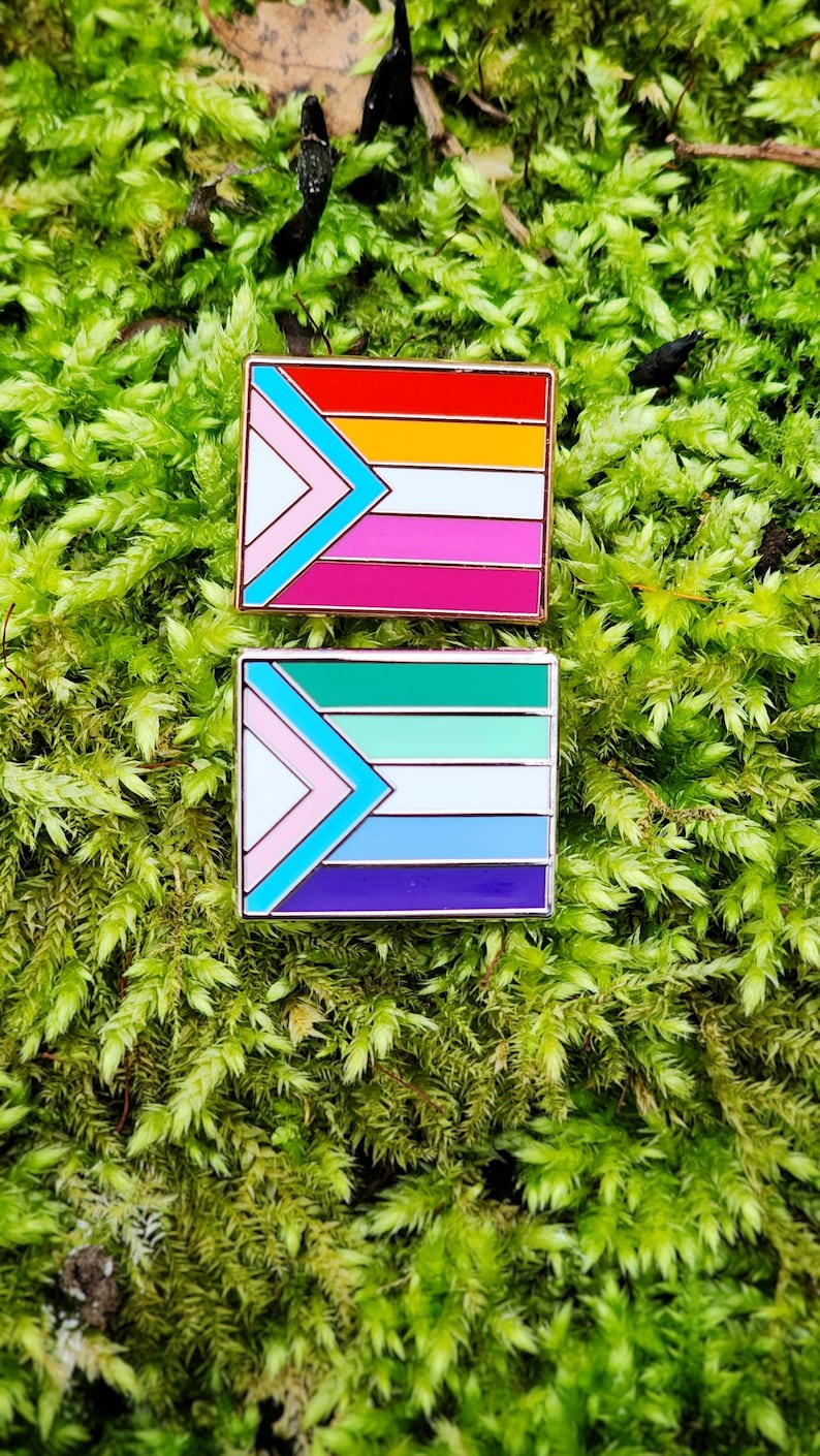Two rectangular hard enamel pins. Each has the trans pride chevron from the progress pride flag on the left side. The rest of the design is either the gay man pride stripes (outlined in silver metal) or the lesbian pride stripes (outlined in rose gold metal)