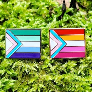 Two rectangular hard enamel pins. Each has the trans pride chevron from the progress pride flag on the left side. The rest of the design is either the gay man pride stripes (outlined in silver metal) or the lesbian pride stripes (outlined in rose gold metal)