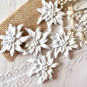May include: Five white edelweiss flower ornaments with detailed petals and central clusters. Each flower features a star-shaped arrangement of pointed petals, crafted with a matte finish. These decorative floral pieces are arranged together.