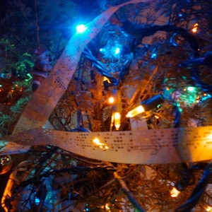 May include: A Christmas tree decorated with blue and white lights, a paper punch tape, and a few ornaments. The tree is lit up with warm white lights.