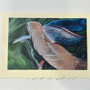 Puede incluir: Primer plano de un pez con una aleta azul y naranja, nadando en agua verde. El pez tiene un cuerpo marrón y blanco con un patrón texturizado.