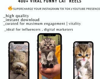 Pakiet Viral Cat Reels: zabawne filmy z TikToka i YouTube'a (do pobrania w wersji cyfrowej, licencja MRR/PLR)