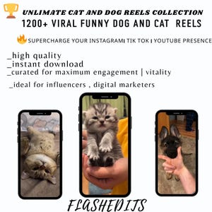 Puede incluir: Imagen que promociona una colección de vídeos de gatos y perros. La imagen presenta tres smartphones que muestran vídeos de un gato y un perro. El texto incluye "UNLIMATE CAT AND DOG REELS COLLECTION" y "1200+ VIRAL FUNNY DOG AND CAT REELS."