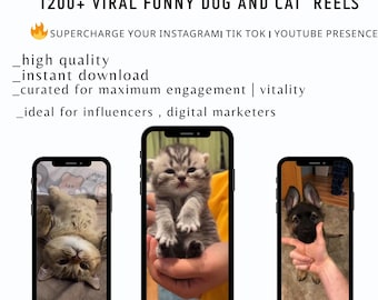 Viral Funny Cat & Dog Videos Bundle: Pet Lover Social Media Content