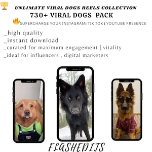 Mais de 730 clipes engraçados de cachorros fofos para vídeos curtos do TikTok | Vídeos virais de animais de estimação para criadores de conteúdo