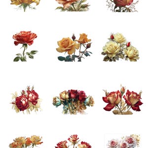 Vintage Rose Garden Clipart | 12 Realistic Watercolor Roses | Transparent PNGs for Cards, Weddings, Journals | Instant Download