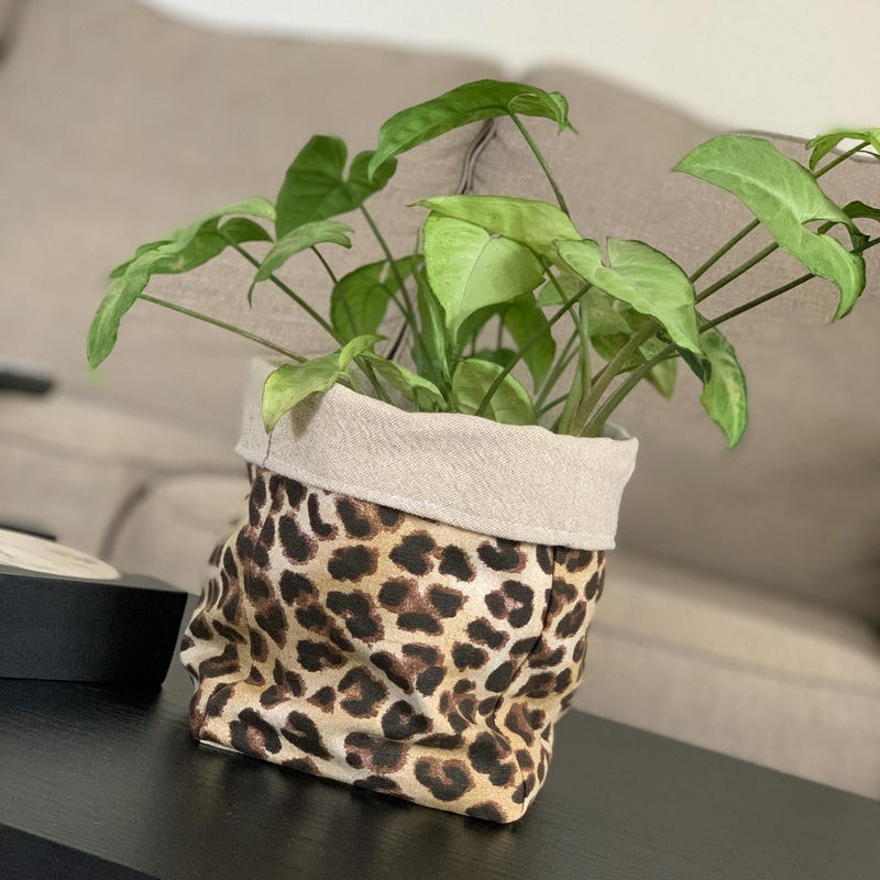 Cheetah Planter