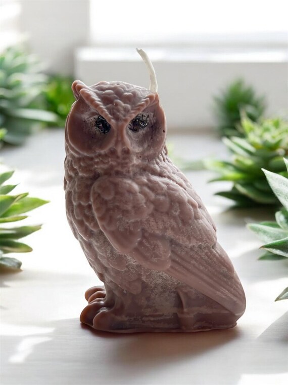 Creative Owl Scented Soy Wax Candle | Decorative Home Decor Gift | Unique Candle for Owl Lovers