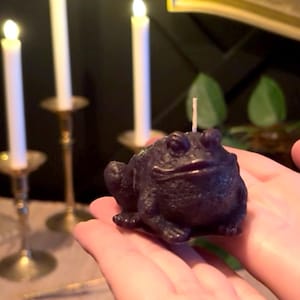 May include: A dark purple frog-shaped candle with a wick, held in a person's hand. The candle has a textured surface and is in focus. Three lit white candles in gold candle holders are in the background.