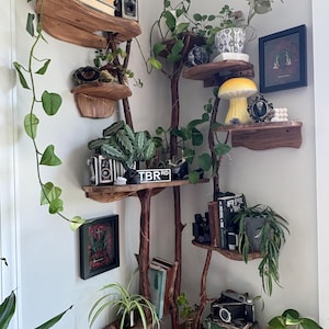 Tree wall shelf Handmade wood branches | Fairy | witchy | Enchanted Forest shelves | floating shelf | real tree branches —Create your space