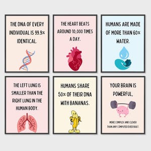 Fun Facts Science Posters Set Of 6, Science Classroom Posters, Science Classroom Decor, Teacher Gift, Educational Posters, Learning Prints