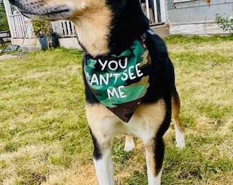 Collar tipo bandana reversible para perro "No puedes verme"