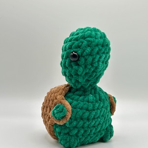 Cheeky turtle