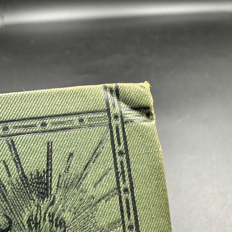 May include: Close-up of a section of a green canvas book cover with black ink illustrations. The design includes vertical lines, dots, and a stylized sunburst. The corner of the book is visible.
