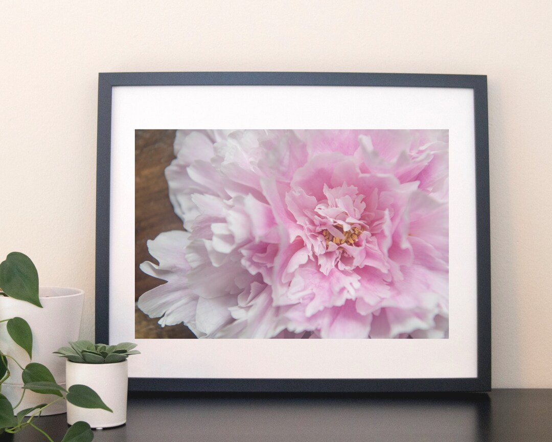 Pink Peony - Instant Download - Etsy