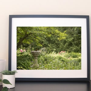 Shakespeare's Garden - Central Park, NYC - Digital Download
