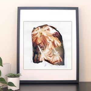 Könnte beinhalten: Ein gerahmter abstrakter Kunstdruck mit einer Nahaufnahme einer Ansammlung getrockneter Blumen in Braun-, Weiß- und Lilatönen. Die Blumen sind in einem zufälligen, organischen Muster angeordnet, was eine strukturierte und visuell interessante Komposition ergibt.