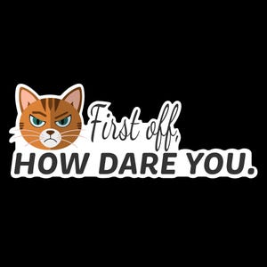 How Dare You: waterdichte sticker van 3,5 inch