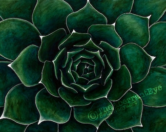 Echeveria Succulent Giclee Fine Art Print