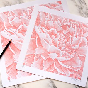 ARTIST&#39;S PROOF (AP) Pink Peony Giclee Art Print -signed (2 sizes)