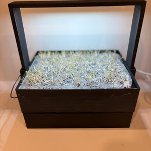 Self-Watering Microgreen Grow Container - 3D Printed | Perfect for Fresh, Homegrown Greens!