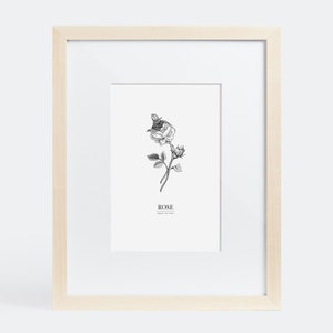 June – Flower of the Month Print (Rose)