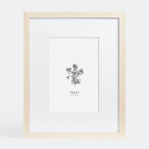 February – Flower of the Month Print (Violet)