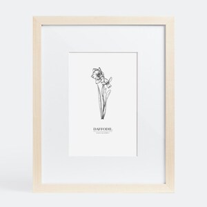 March – Flower of the Month Print (Daffodil)