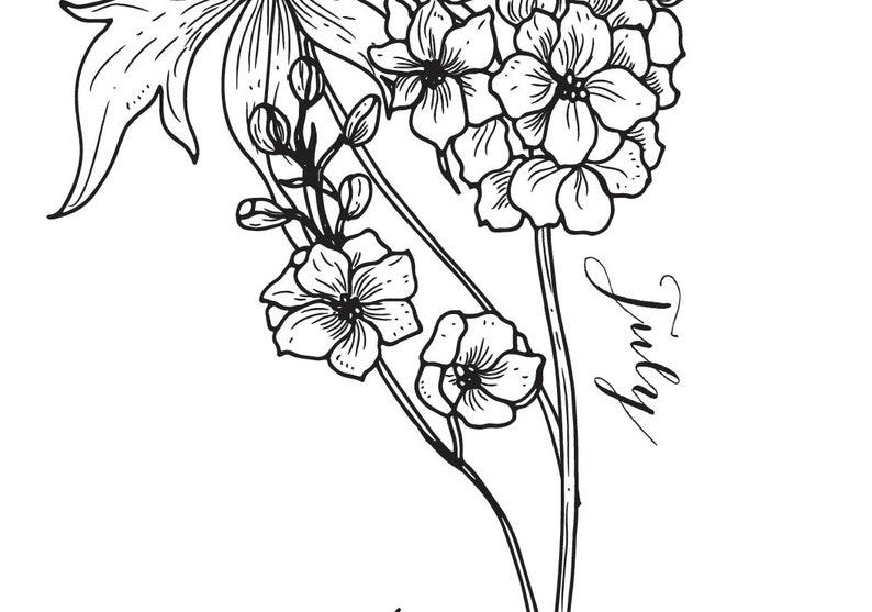 July flower of the Month Print larkspur Etsy