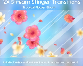 Transición de floración de flores tropicales - Hibisco de verano, Plumeria, OBS Stinger / Transición de transmisión / Streamlabs, Youtube, Kick, Twitch